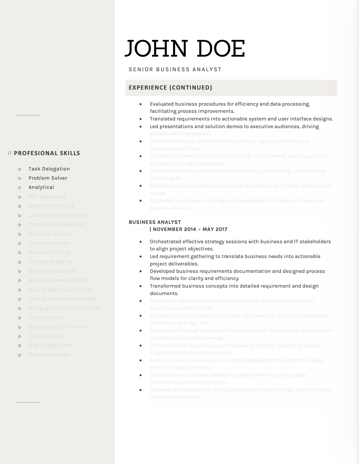 Pyro Solutions Résumé Template - Page 2
